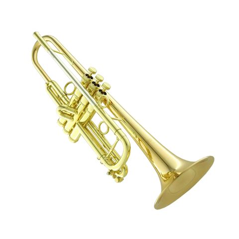 Carol Brass Bb Mini Trumpet Gold Lacquer - Trumpets for students to pro  players - Cornets and Flugelhorns - Sax & Woodwind and Brass