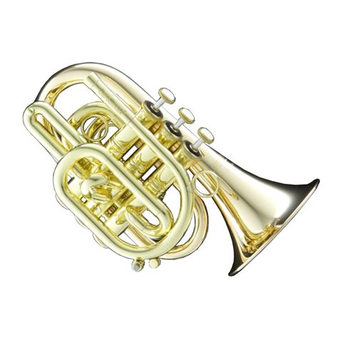 Carol Brass CPT-3000-GLS-BBL Pocket Trumpet