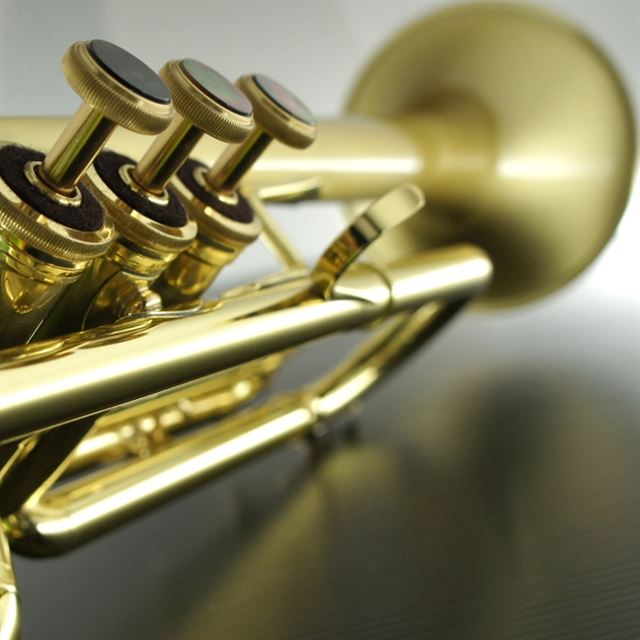 Carol Brass Bb Mini Trumpet Gold Lacquer - Trumpets for students to pro  players - Cornets and Flugelhorns - Sax & Woodwind and Brass