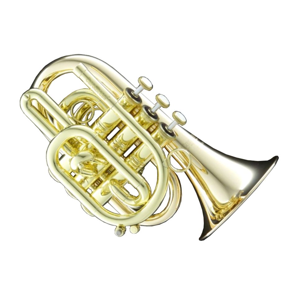 Comparison: Pocket Trumpet, Bb Trumpet and Cornet 
