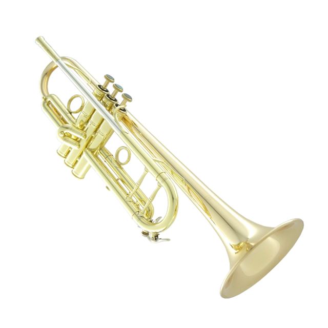 Carol Brass CTR-5060H-GSS-Bb-L Heavyweight Pro Trumpet