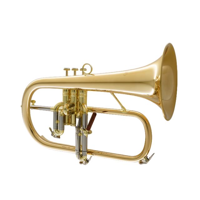 Carol Brass CFL-6200-GSS-BBL Flugelhorn