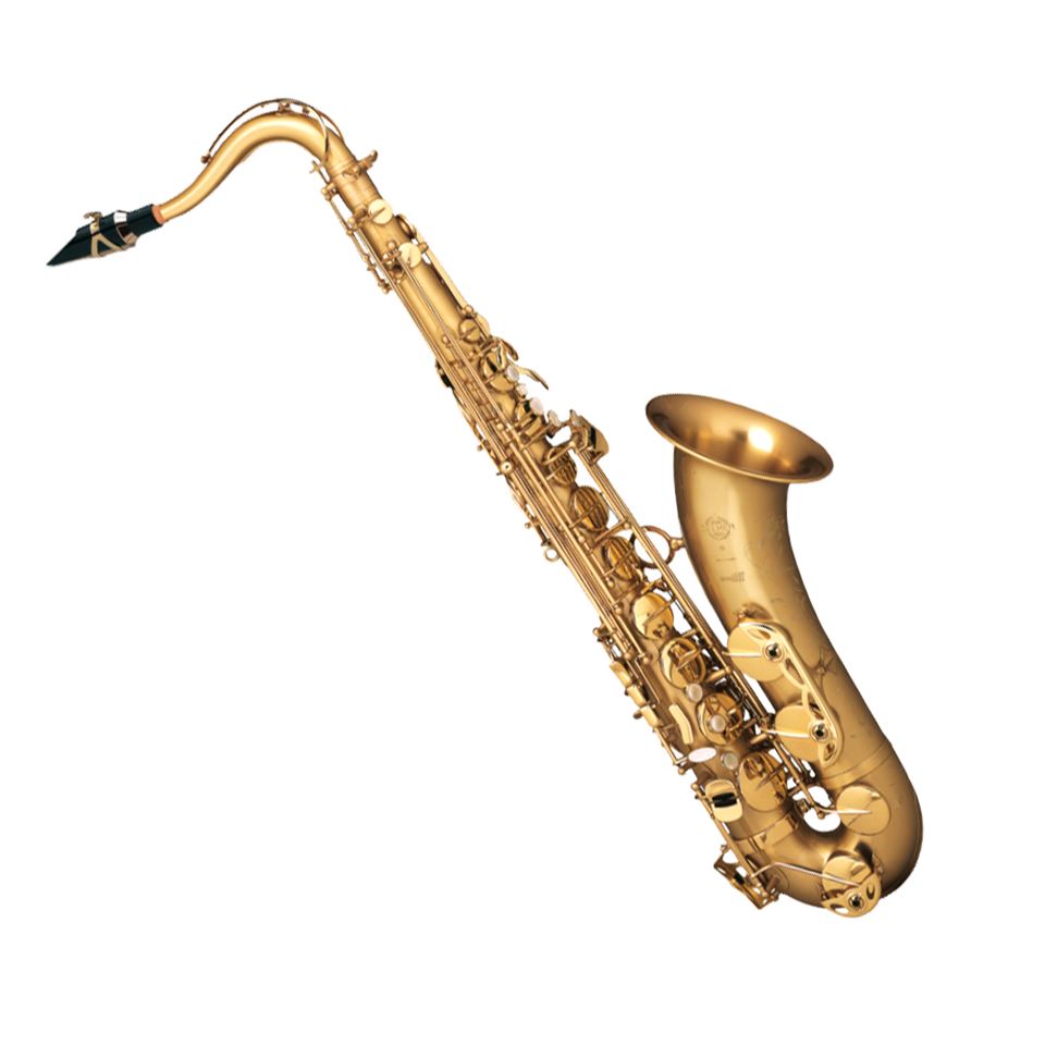 Selmer Paris Serie III Tenor Saxophone in Brushed Gold Finish - Alto ...