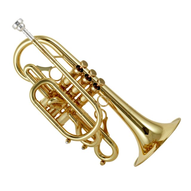 CarolBrass - Trumpet/Cornet/Trombone/Flugel/Bugle