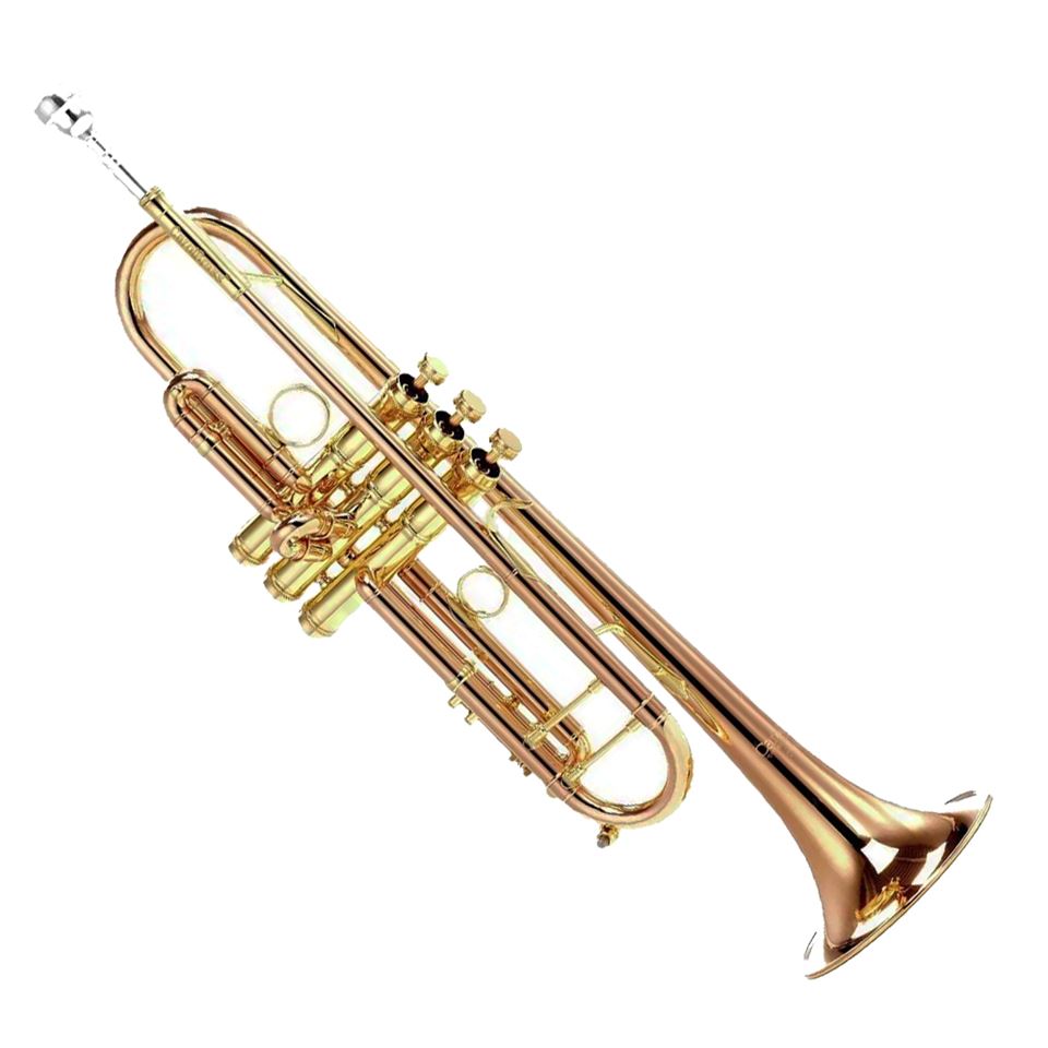 Carol Brass Bb Custom Pro Trumpet CTR-9990-HRS-MBBL