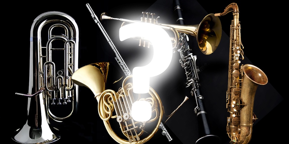 Choosing Your First Instrument - Which One???